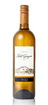 Mazza Wines 2024 Pinot Grigio, Pennsylvania